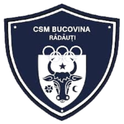 Logo Bucovina Radauti