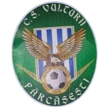 Logo CS Vulturii Farcasesti