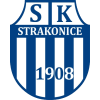 Logo Strakonice
